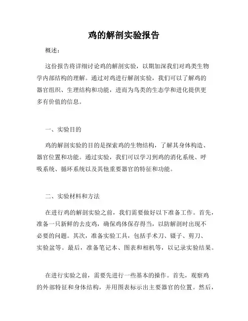 鸡的解剖实验报告