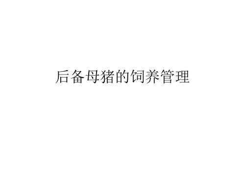 后备母猪的饲养管理