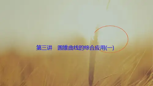 2018届高三数学理高考二轮复习书讲解课件第一部分 专题五 第三讲 圆锥曲线的综合应用一 精品