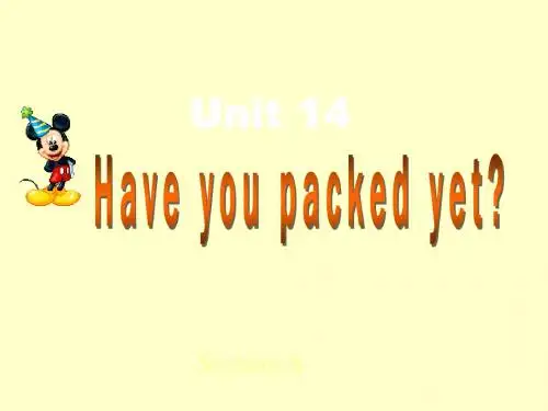 人教版新目标九年级Unit14 Have you packed yet单元复习课件
