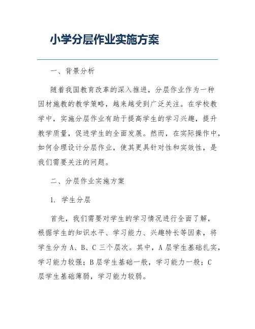 小学分层作业实施方案