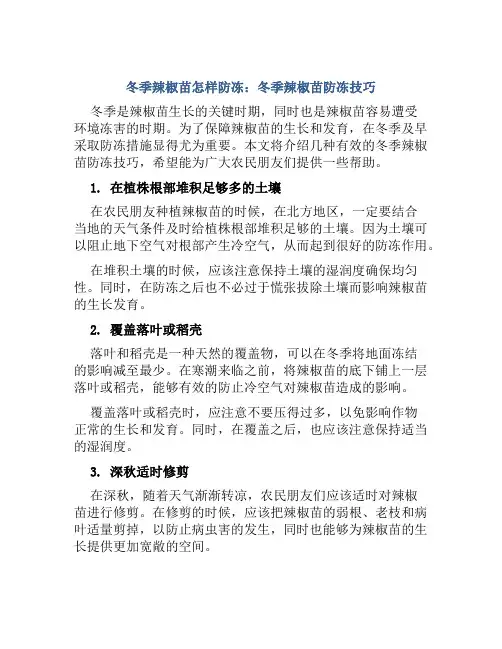 冬季辣椒苗怎样防冻冬季辣椒苗防冻技巧