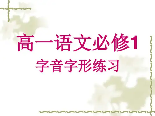 必修一字音_字形练习讲述