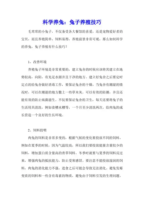 科学养兔：兔子养殖技巧