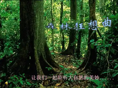 三年级下册音乐课件森林狂想曲｜接力版 (共15张PPT)