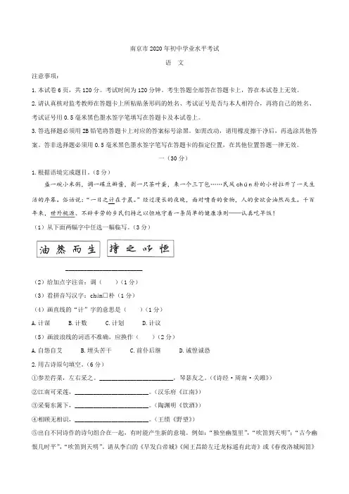 江苏省南京市2020年中考语文试题(含答案)