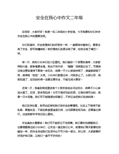 安全在我心中作文二年级