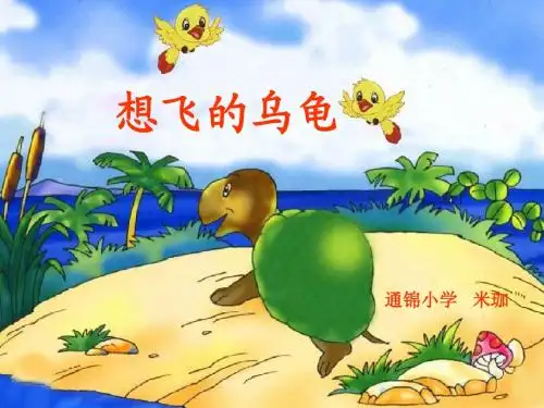 想飞的乌龟ppt