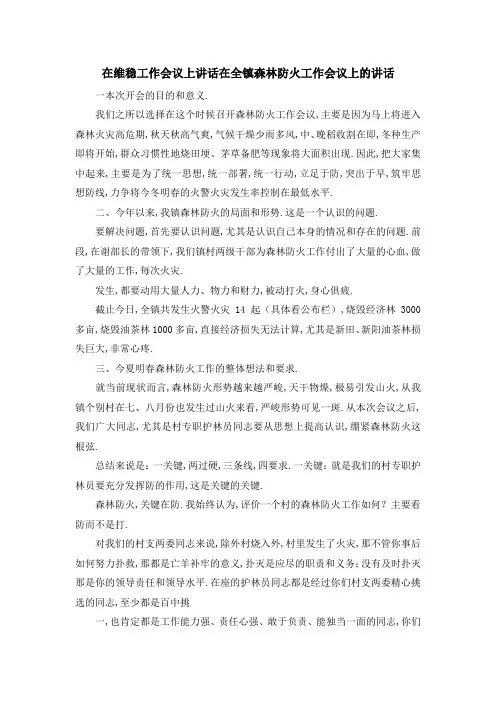 在维稳工作会议上讲话 在全镇森林防火工作会议上的讲话 精品