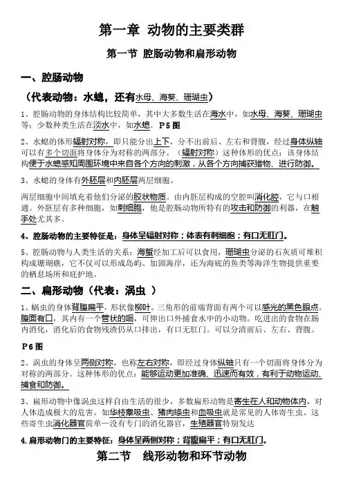 动物的主要类群