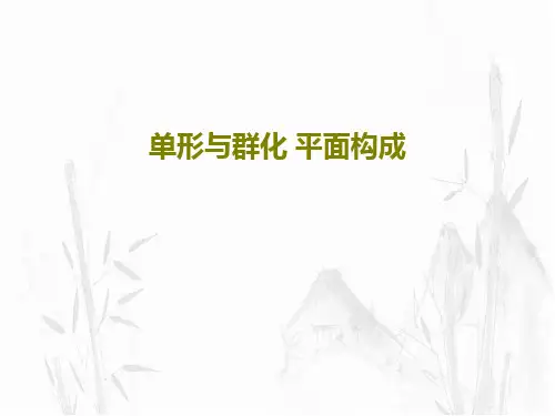单形与群化 平面构成共49页文档