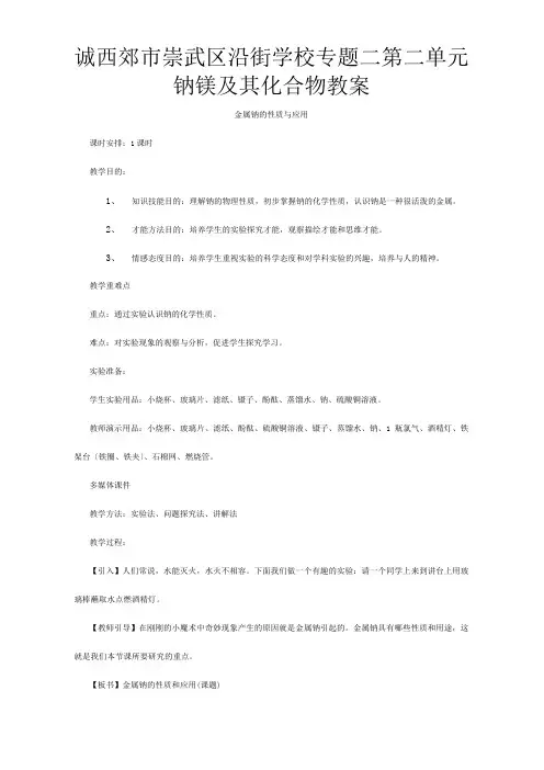 专题二第二单元钠镁及其化合物教案