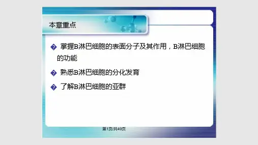 B淋巴细胞PPT课件