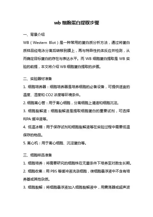 wb细胞蛋白提取步骤