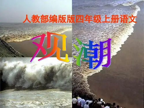 《观潮》PPT教学课件(共31张PPT)