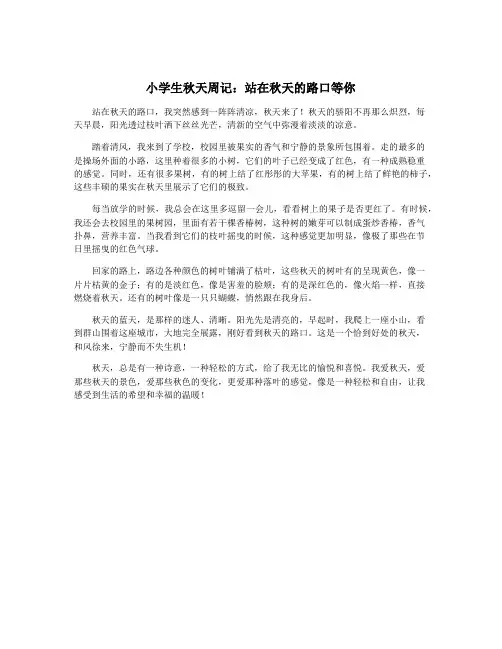 小学生秋天周记：站在秋天的路口等你