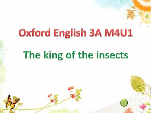 Module4Unit1Insects(课件)牛津上海版(试用本)英语三年级上册