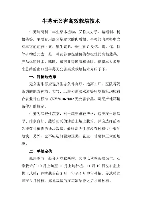 牛蒡无公害高效栽培技术