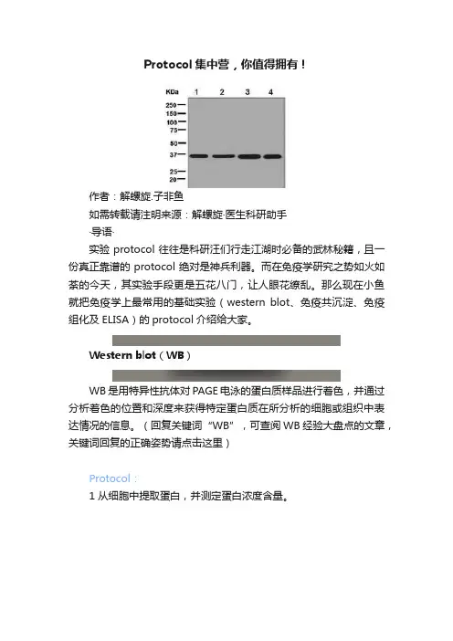Protocol集中营，你值得拥有！