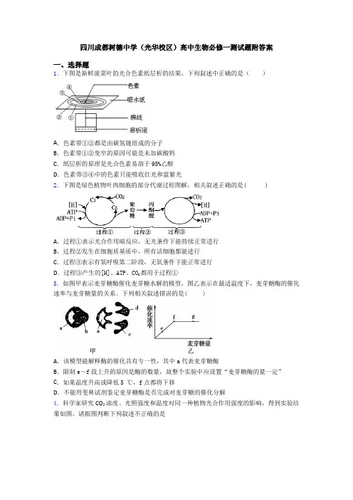 四川成都树德中学(光华校区)高中生物必修一测试题附答案