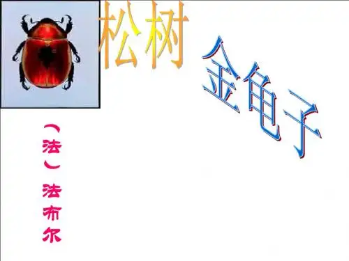 (新)苏教版七年级语文下册第16课《松树金龟子(节选)》课件(共23张PPT)