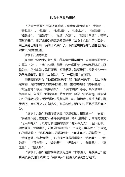 沾衣十八跌的概述