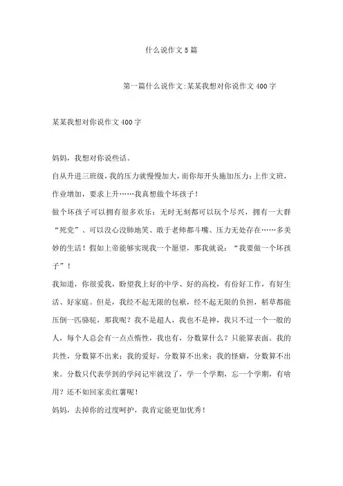 什么说作文5篇