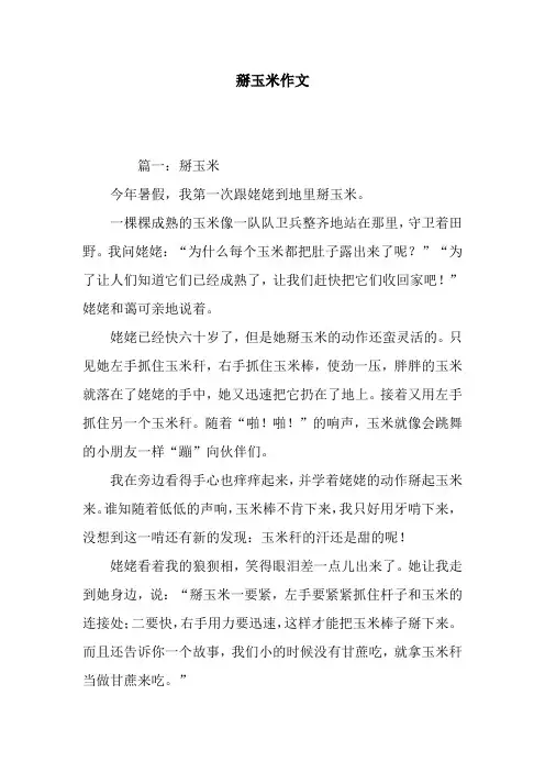 掰玉米作文