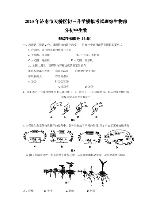 2020年济南市天桥区初三升学模拟考试理综生物部分初中生物