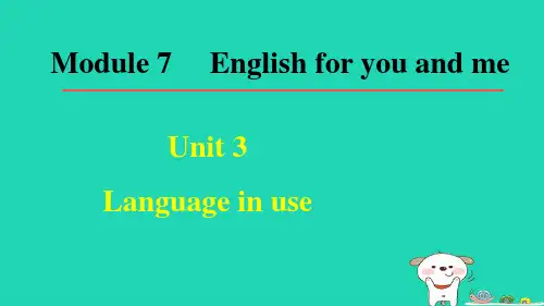 九年级英语下册 Module 7 English for you and meUnit 3课件(新版