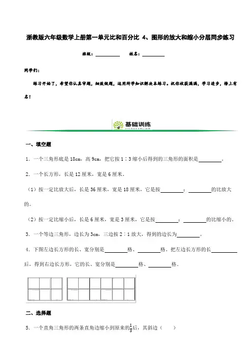 浙教版六年级数学上册第一单元比和百分比4、图形的放大和缩小分层同步练习(附答案解析)