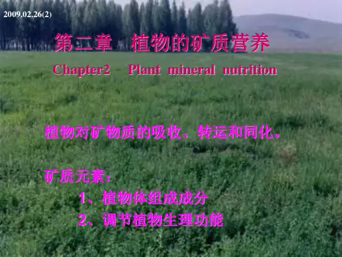 植物生理学第二章