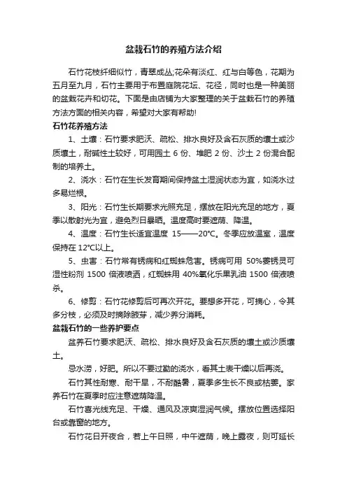 盆栽石竹的养殖方法介绍
