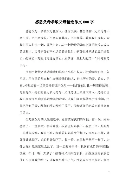 感恩父母孝敬父母精选作文800字