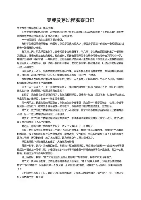 豆芽发芽过程观察日记（精选9篇）