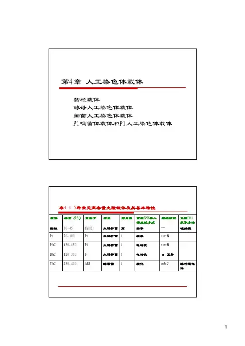 第四章 人工染色体载体