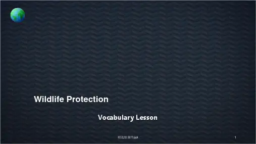 Wildlife Protection词汇教学ppt课件