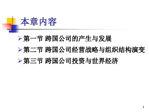 第三章跨国公司ppt课件