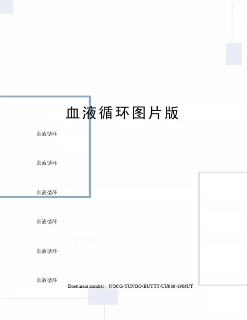血液循环图片版
