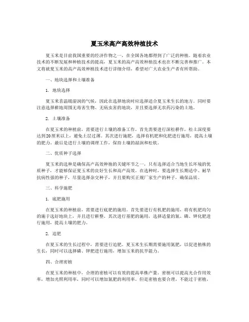 夏玉米高产高效种植技术