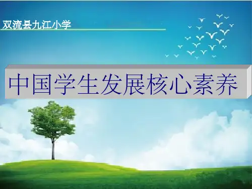 中国学生发展核心素养ppt