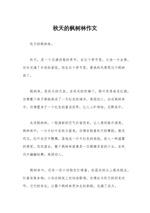 秋天的枫树林作文