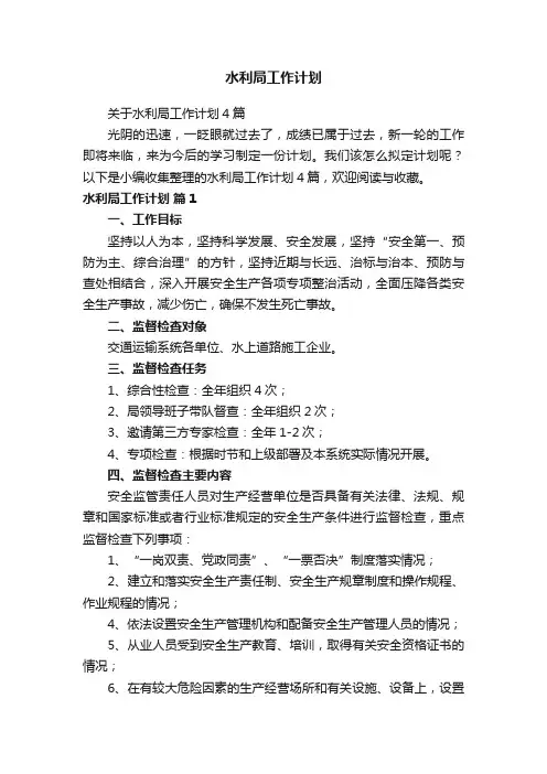 关于水利局工作计划4篇