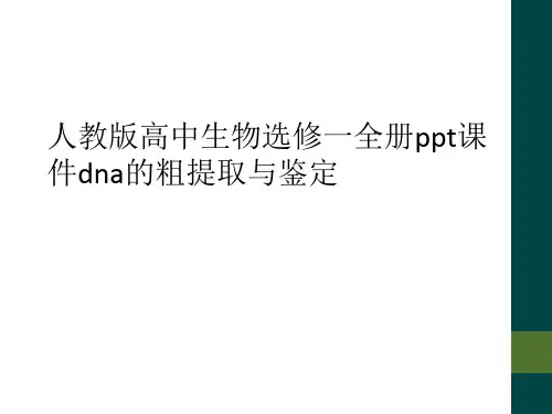 人教版高中生物选修一全册ppt课件dna的粗提取与鉴定