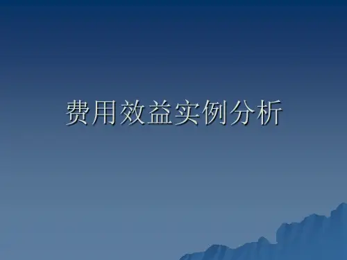 费用效益实例分析(11.17)