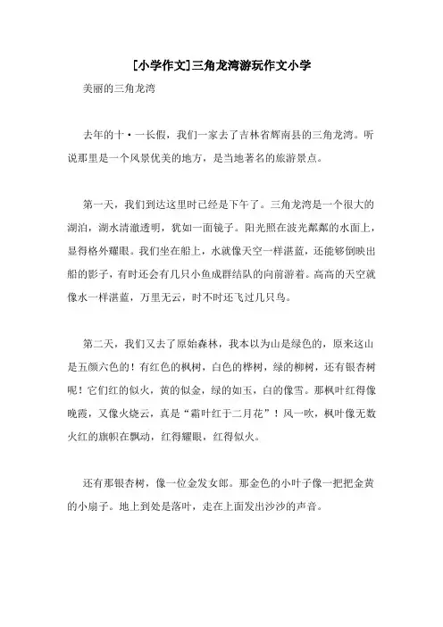 [小学作文]三角龙湾游玩作文小学