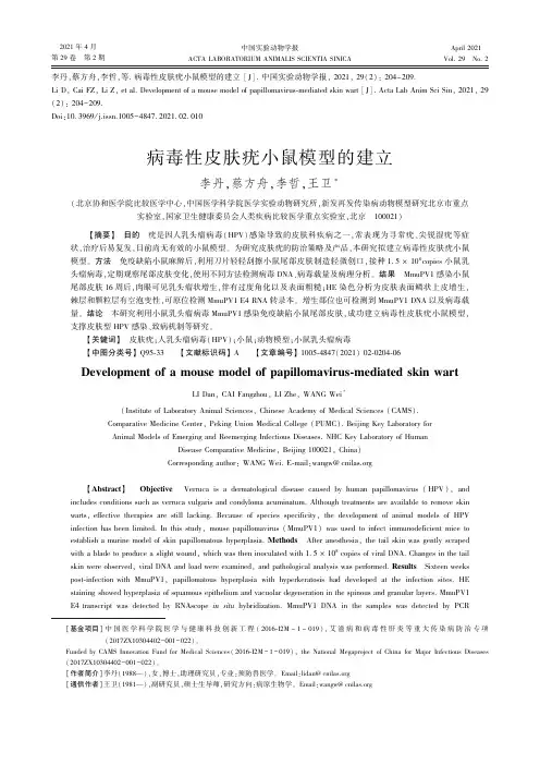 病毒性皮肤疣小鼠模型的建立
