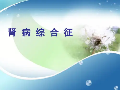肾病ppt课件