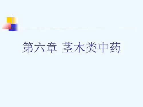 第六章 茎木类中药[可修改版ppt]