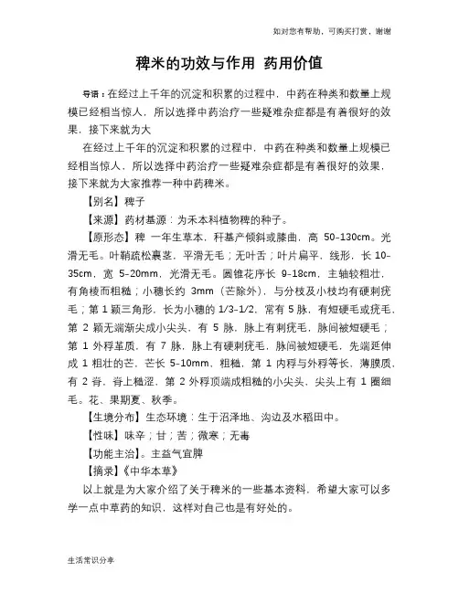 稗米的功效与作用 药用价值